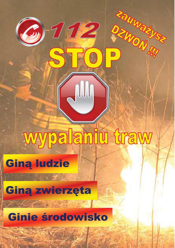 WYPALANIE TRAW 2019.jpeg