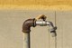 faucet-510863__340.jpeg